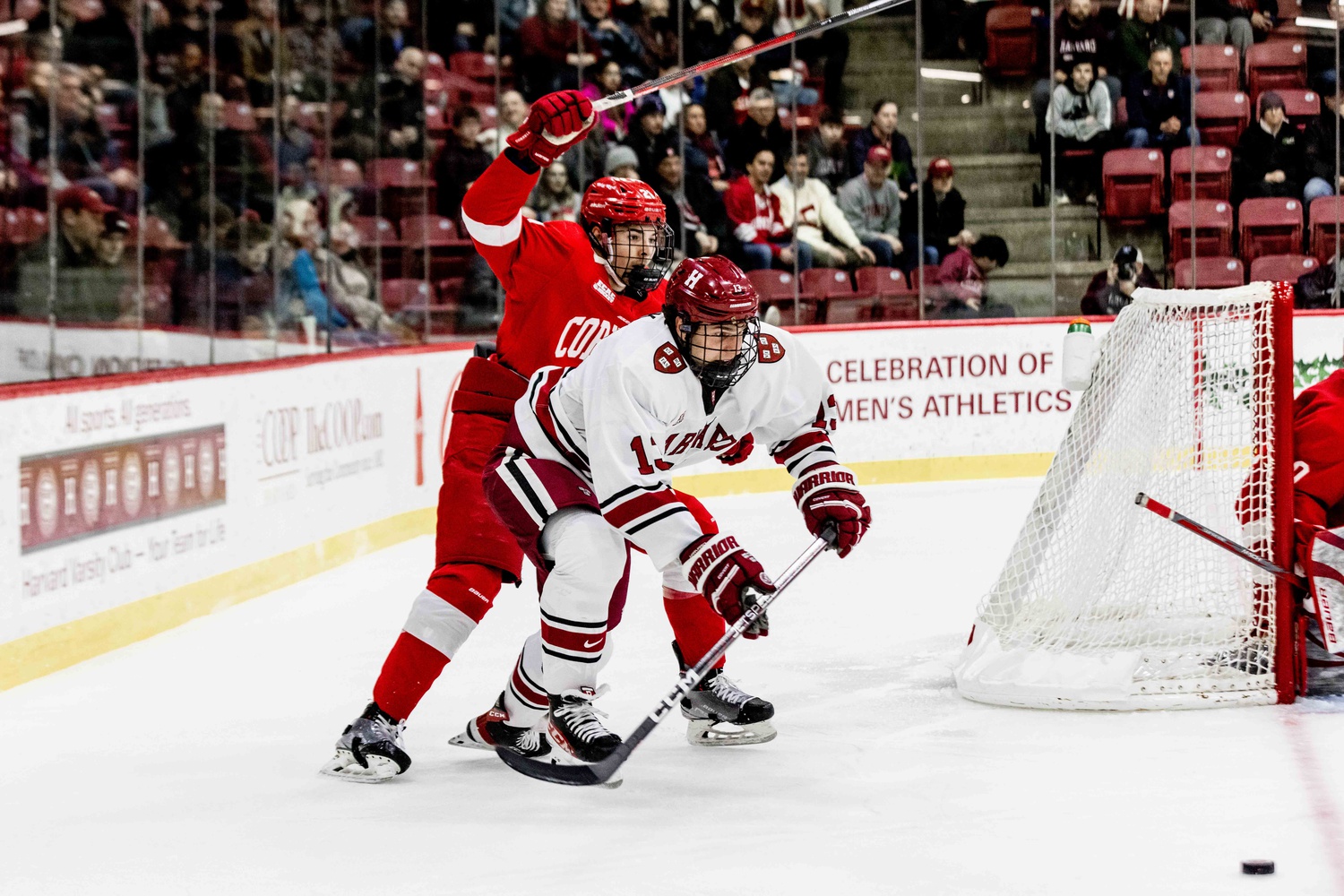 Then-first-year forward Marek Hejduk fights through the Cornell defense at home on January 28.