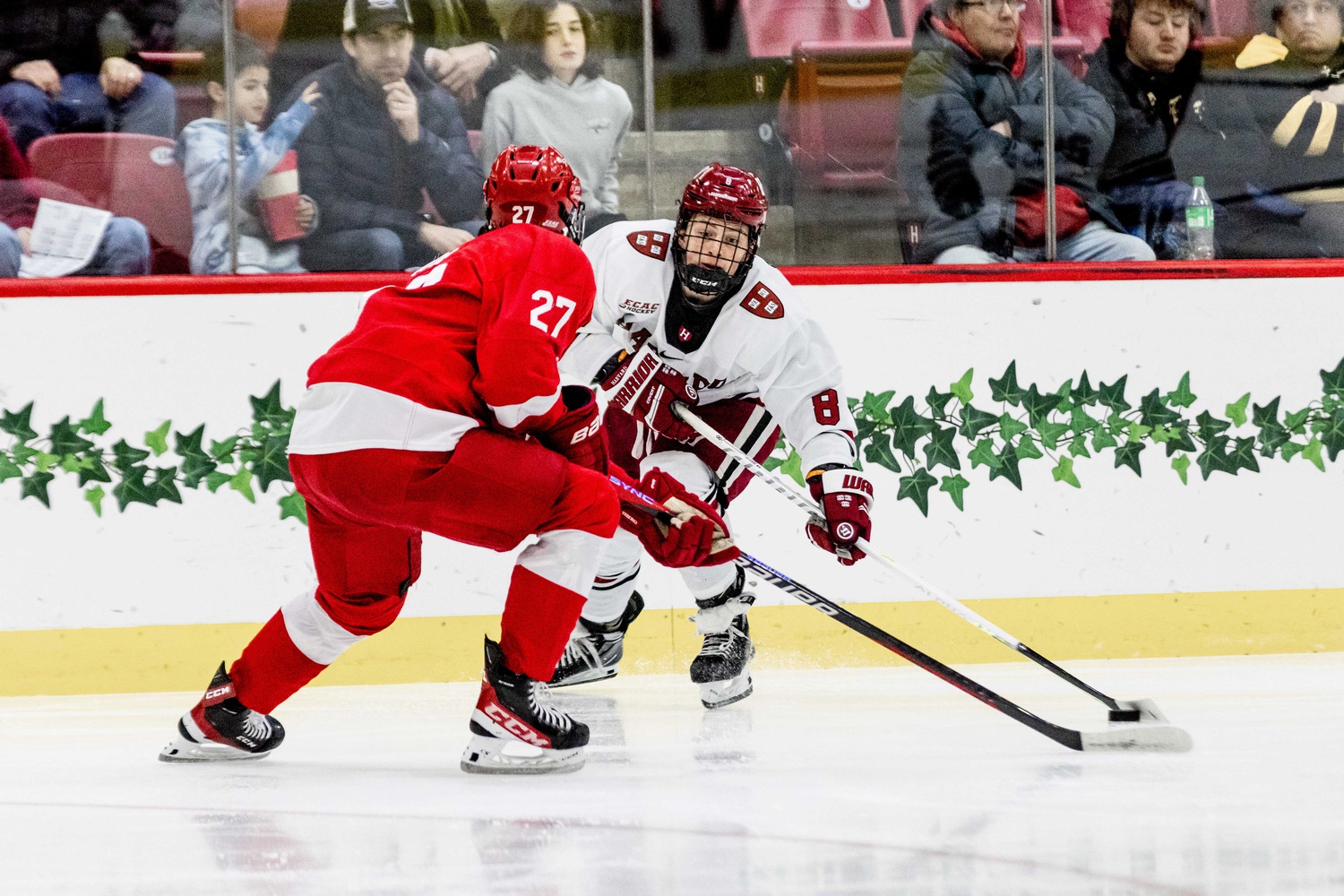 Then-sophomore forward Alex Gaffney skates up the ice against Cornell on January 28, 2023.